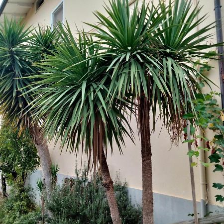 Casa Il Canto Tortoreto Dış mekan fotoğraf