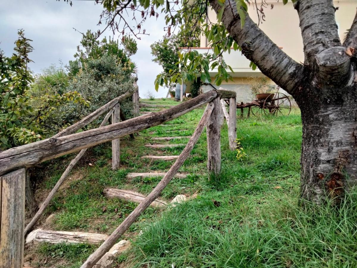 Casa Il Canto Tortoreto Dış mekan fotoğraf