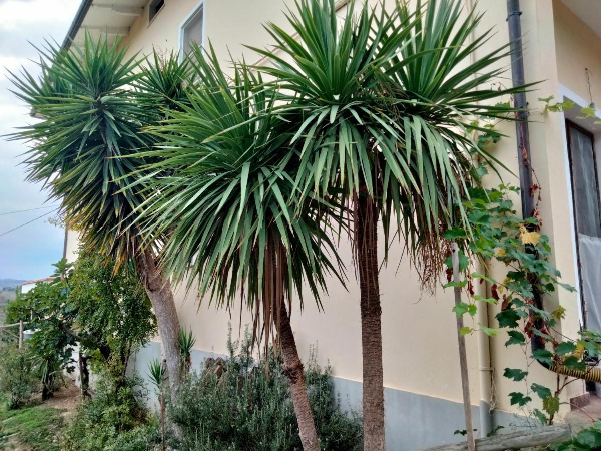 Casa Il Canto Tortoreto Dış mekan fotoğraf